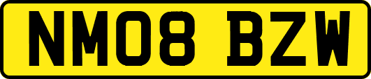 NM08BZW