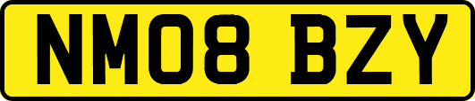 NM08BZY