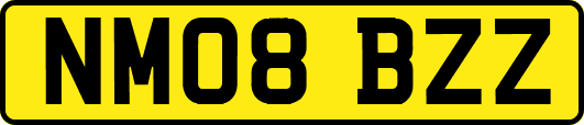 NM08BZZ