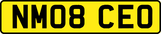 NM08CEO