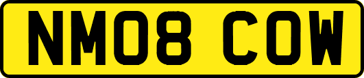 NM08COW