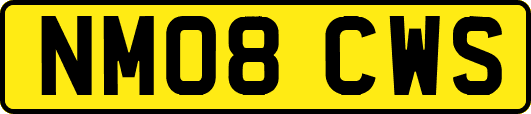 NM08CWS