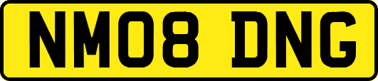 NM08DNG