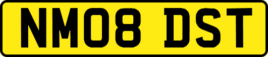 NM08DST