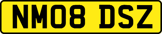 NM08DSZ