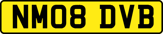 NM08DVB