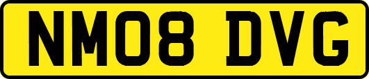 NM08DVG