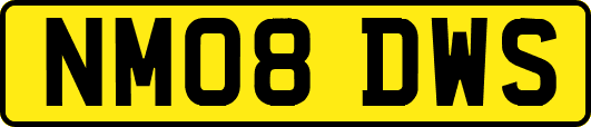 NM08DWS