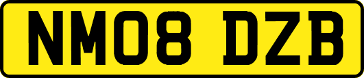 NM08DZB