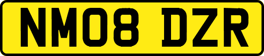 NM08DZR