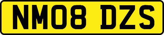 NM08DZS
