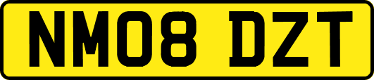NM08DZT
