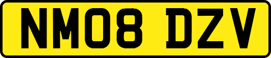 NM08DZV