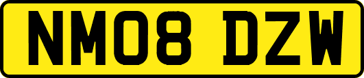 NM08DZW