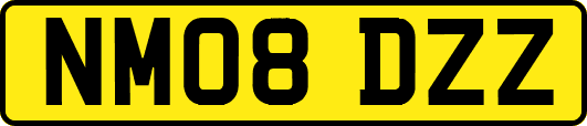 NM08DZZ