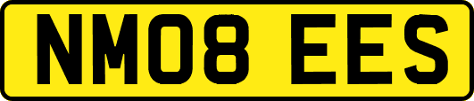 NM08EES