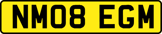 NM08EGM