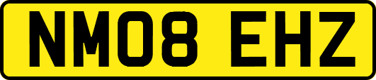 NM08EHZ