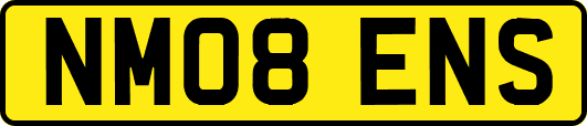 NM08ENS