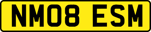NM08ESM