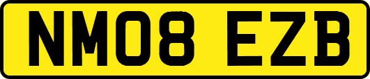 NM08EZB