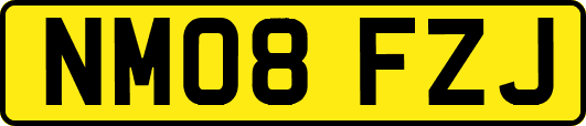 NM08FZJ