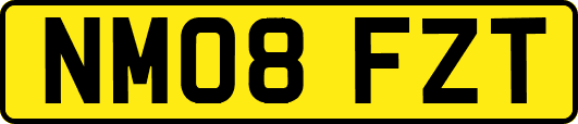 NM08FZT