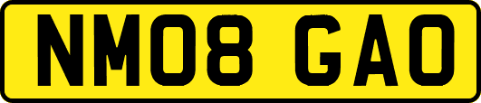 NM08GAO