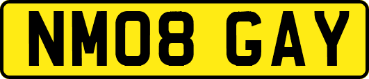 NM08GAY