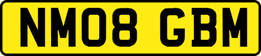 NM08GBM