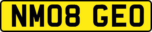 NM08GEO
