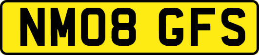 NM08GFS