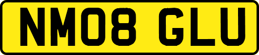 NM08GLU