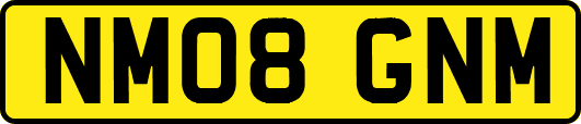NM08GNM