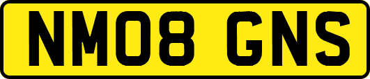 NM08GNS
