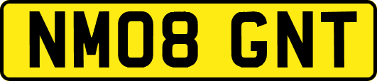NM08GNT