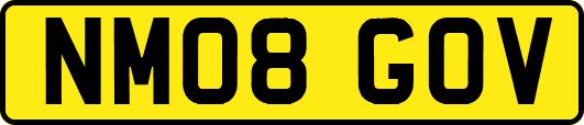 NM08GOV