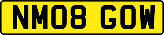 NM08GOW