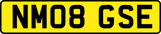 NM08GSE
