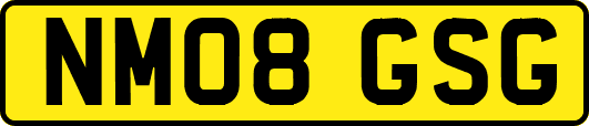 NM08GSG