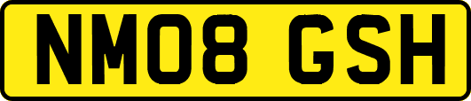 NM08GSH