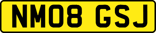 NM08GSJ