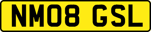 NM08GSL