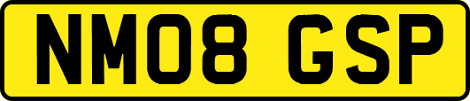 NM08GSP