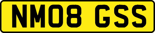 NM08GSS