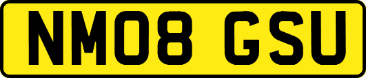 NM08GSU