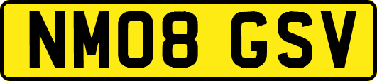NM08GSV