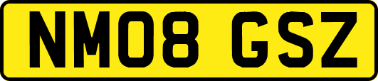 NM08GSZ