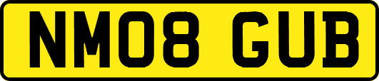 NM08GUB