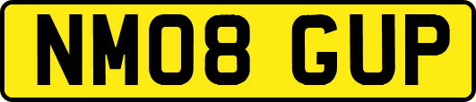NM08GUP